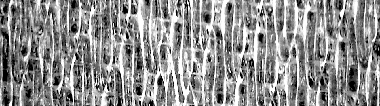 LENSER PRESS TEX Mono
