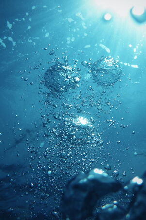 Environment